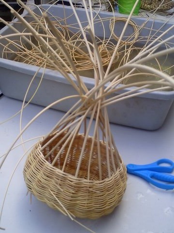 Basket Weaving
