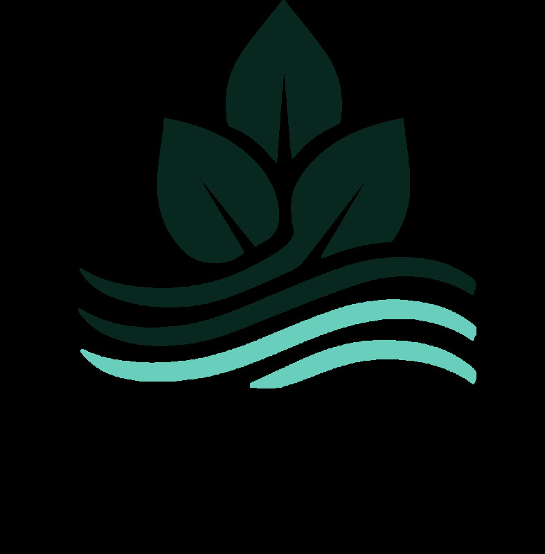 Carleton Clean Air Technologies