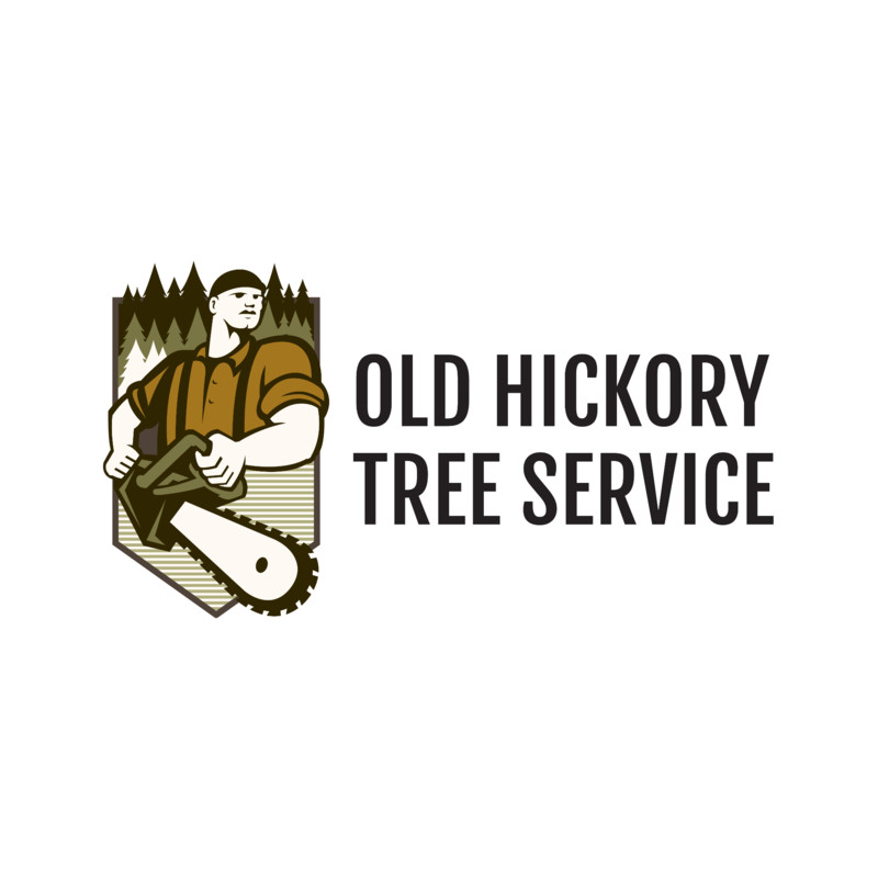 Old Hickory Tree Service
